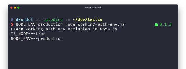 Node.js環境変数設定例