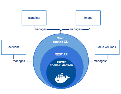 Docker環境構築イメージ